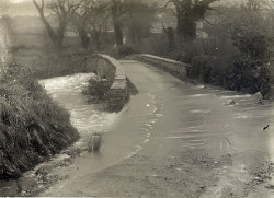 Tom Mathias: Rural Life
