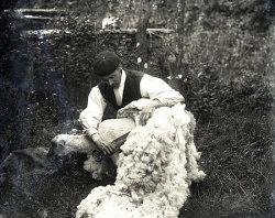 Tom Mathias: Rural Life