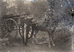 Tom Mathias: Rural Life