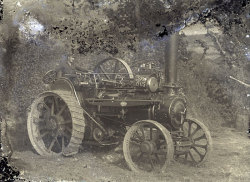 Tom Mathias: Rural Life
