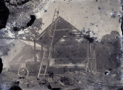 Tom Mathias: Rural Life