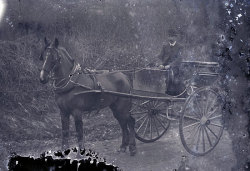 Tom Mathias: Rural Life