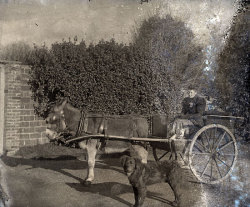 Tom Mathias: Rural Life