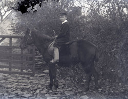 Tom Mathias: Rural Life