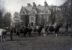 Tom Mathias: Rural Life