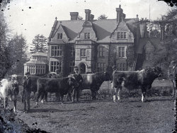 Tom Mathias: Bywyd Cefn Gwlad