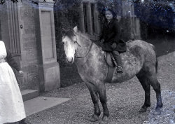 Tom Mathias: Bywyd Cefn Gwlad