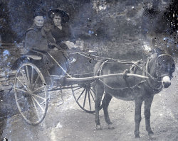 Tom Mathias: Bywyd Cefn Gwlad