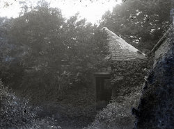Tom Mathias: Bywyd Cefn Gwlad