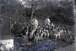 Tom Mathias: Rural Life