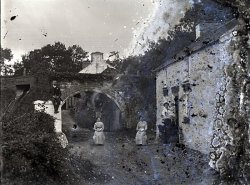 Tom Mathias: Rural Life