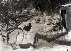 Tom Mathias: Rural Life