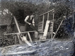 Tom Mathias: Rural Life