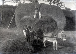 Tom Mathias: Bywyd Cefn Gwlad