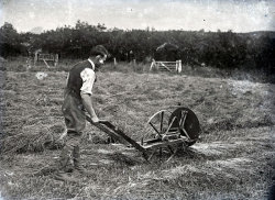 Tom Mathias: Rural Life