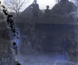 Tom Mathias: Rural Life