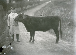 Tom Mathias: Rural Life