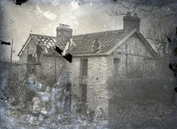 Tom Mathias: Rural Life