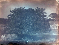 Tom Mathias: Rural Life