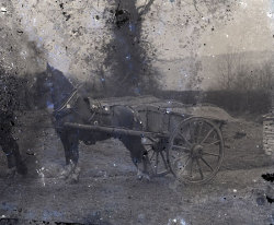 Tom Mathias: Rural Life
