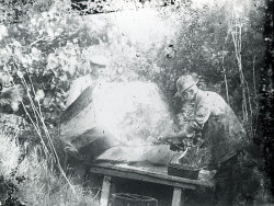 Tom Mathias: Rural Life