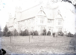 Tom Mathias: Houses and Servants