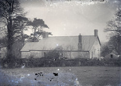 Tom Mathias: Houses and Servants