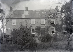 Tom Mathias: Houses and Servants
