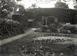 Tom Mathias: Houses and Servants