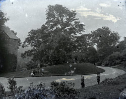 Tom Mathias: Houses and Servants
